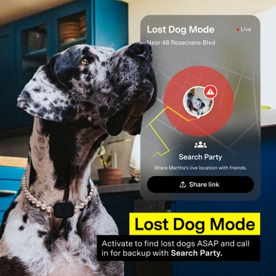 Show full view: Fi Mini GPS Smart Dog Collar, Black slide 7 of 10