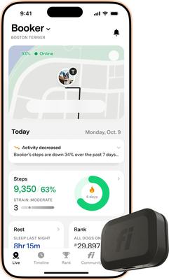 Show full view: Fi Mini GPS Smart Dog Collar, Black slide 2 of 10