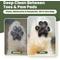 Show in main carousel: PawSono Dog & Cat Paw Cleansing Foam, 5-fl oz bottle slide 2 of 9
