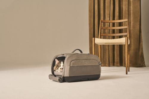 Show full view: Tavo Pets Dupree I Airline Carry-on Dog & Cat Car Seat, Onyx slide 8 of 9