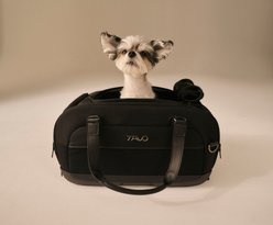 Tavo Pets Dupree II Airline Carry-On Dog & Cat Car Seat, Onyx