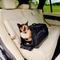 Show in main carousel: Tavo Pets Dupree I Airline Carry-on Dog & Cat Car Seat, Onyx slide 1 of 9