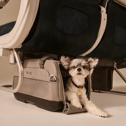 Tavo Pets Dupree II Airline Carry-On Dog & Cat Car Seat, Merle