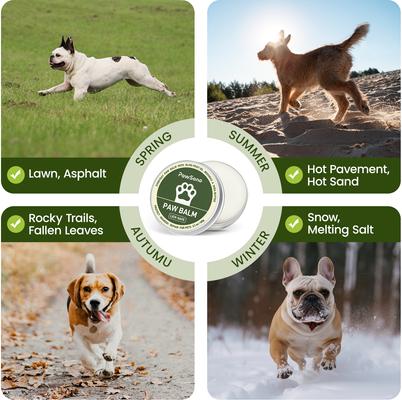 Show full view: PawSono Dog & Cat Paw & Nose Balm, 2.1-oz jar slide 8 of 11