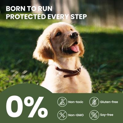 Show full view: PawSono Dog & Cat Paw & Nose Balm, 2.1-oz jar slide 9 of 11