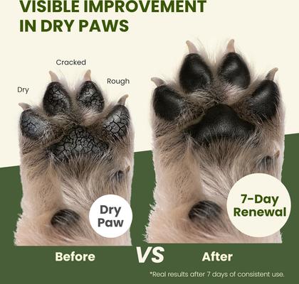 Show full view: PawSono Dog & Cat Paw & Nose Balm, 2.1-oz jar slide 3 of 11