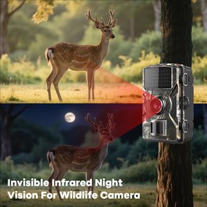 Bueteka Waterproof Trail Wildlife Outdoor Pet Camera with Night Vision, Camouflage