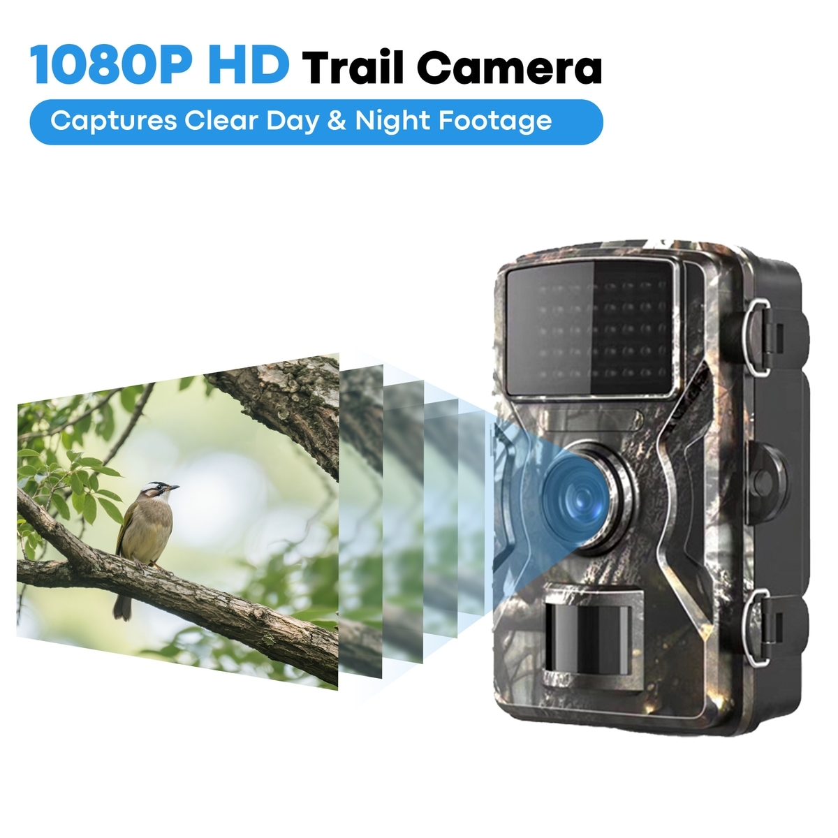 BUETEKA Waterproof Trail Wildlife Outdoor Pet Camera with Night Vision ...