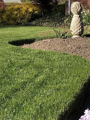 Show full view: Farrier's Magic Play-ON All-In-One Natural Lawn Fertilizer, 50-lb bag slide 4 of 5