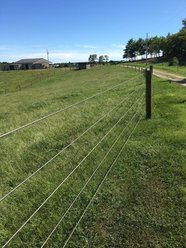 Farrier's Magic Graze-ON All Natural Pasture Fertilizer & Herbicide, 50-lb bag slide 2 of 6