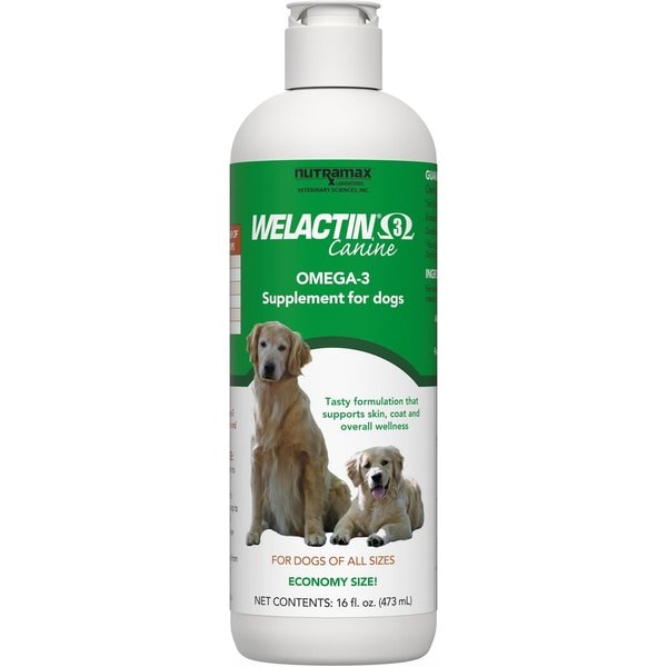 Image showcasing 10 Best Skin & Coat Supplements for Dogs 2026: According to Reviews | Chewy
