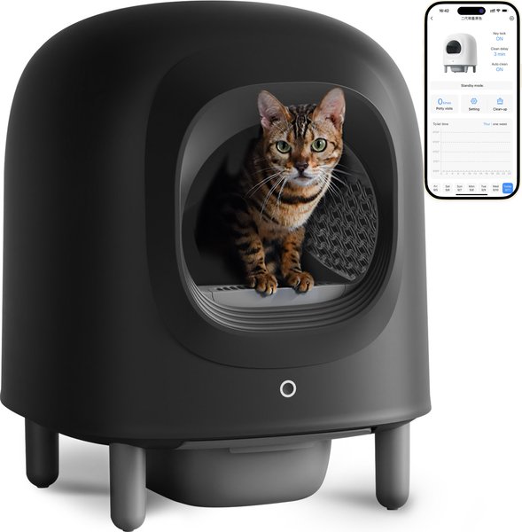 Cat Rescue My Cat Is Missing The Litter Box Catit Grey Enclosed