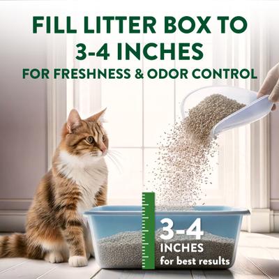 Show full view: Arm & Hammer Litter Plant Power Unscented Lightweight Clumping Wheat Cat Litter, 10-lb bag slide 10 of 12