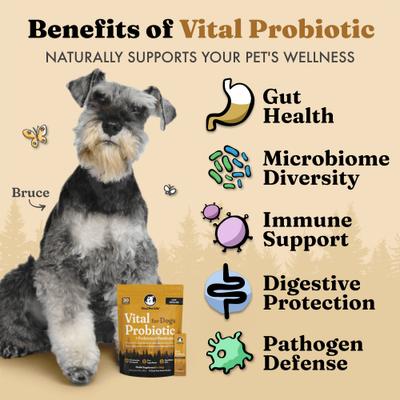 Show full view: Vital Pet Life Probiotics Wolf Microbiome Powder Digestive Supplement for Dogs, 30 count slide 4 of 10