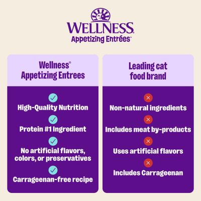 Show full view: Wellness Appetizing Entrees Chicken & Duck Natural Grain-Free Shredded Wet Cat Food, 1.4-oz pouch, case of 8 slide 6 of 12