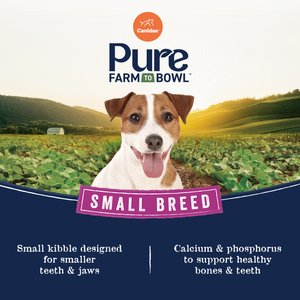 CANIDAE Pure Farm To Bowl Small Breed Pasture-Raised Lamb & Lentil Recipe Dry Dog Food, 10-lb bag