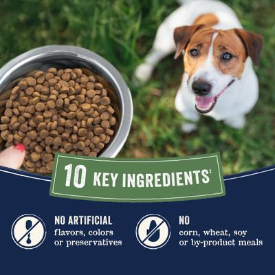 Show full view: CANIDAE Pure Farm To Bowl Small Breed Free-Range Chicken, Lentil & Garbanzo Bean Recipe Dry Dog Food, 4-lb bag slide 9 of 12