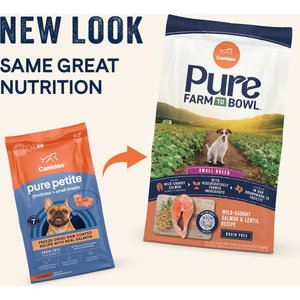 CANIDAE PURE Petite Adult Small Breed Grain-Free with Salmon Dry Dog Food, 10-lb bag