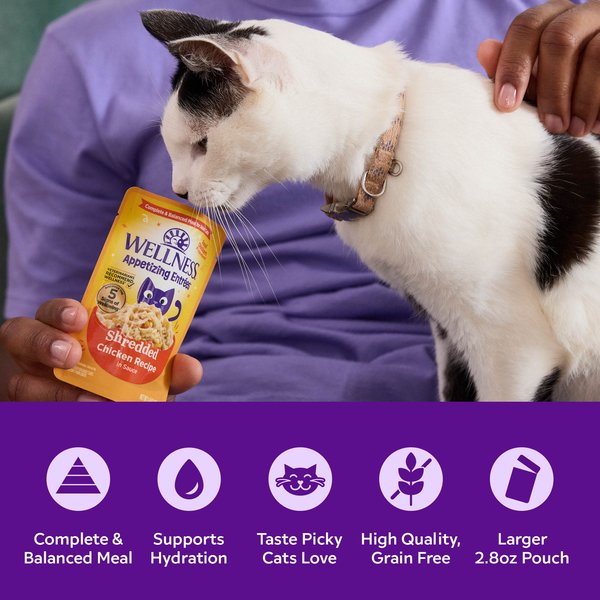 Show full view: Wellness Appetizing Entrees Shredded & Flaked, Seafood & Poultry Variety Pack, Natural Wet Cat Food, 2.8-oz pouch, case of 8 slide 5 of 12
