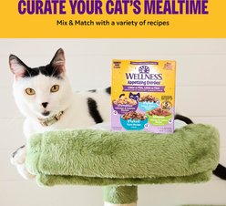 Wellness Appetizing Entrees Chicken & Egg Shredded Wet Cat Food, 2.8-oz pouch, case of 8 slide 2 of 9