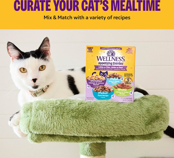 Show full view: Wellness Appetizing Entrees Shredded & Flaked, Seafood & Poultry Variety Pack, Natural Wet Cat Food, 2.8-oz pouch, case of 8 slide 8 of 12
