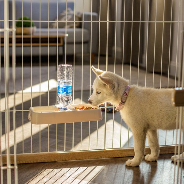Show full view: IRIS Crate Dog Water Feeder, Beige, 2-cup slide 6 of 9