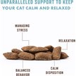 Show in main carousel: Rocco & Roxie Supply Co. Chicken Flavored Calming Chew Supplement for Cats, 3.7-oz bag slide 5 of 10