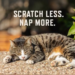 Rocco & Roxie Supply Co. Chicken Flavored Allergy Chew Supplement for Cats, 3.7-oz bag slide 2 of 9