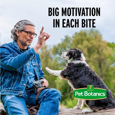 Show full view: Pet Botanics Training Reward Beef Liver Freeze-Dried Dog Treats, 16-oz bag slide 7 of 9