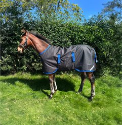 Amigo Ripstop 900D 200g Foal Turnout, Black, Classic Blue, 30-in