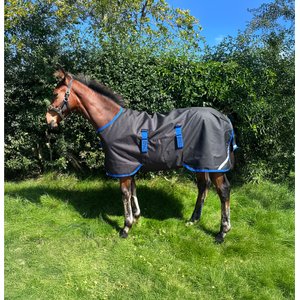Guêtres Back On Track Royal Quick Wraps Deluxe – Vert – Neuves