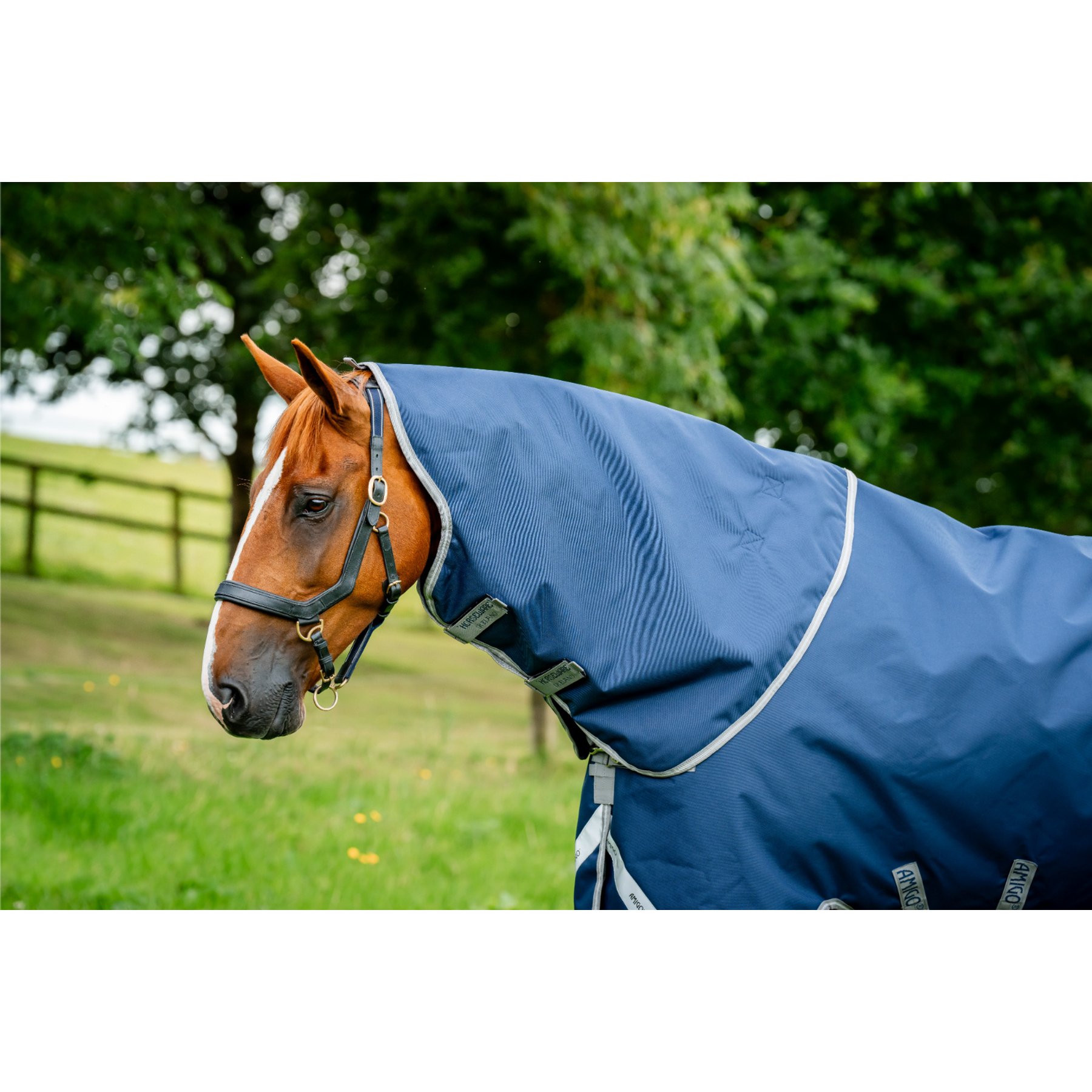 Horseware Amigo 1200D 150g Horse Turnout Hood, Navy, Small