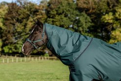 Amigo Ripstop 900D 0g Horse Turnout Hood, Dynasty Green, Large