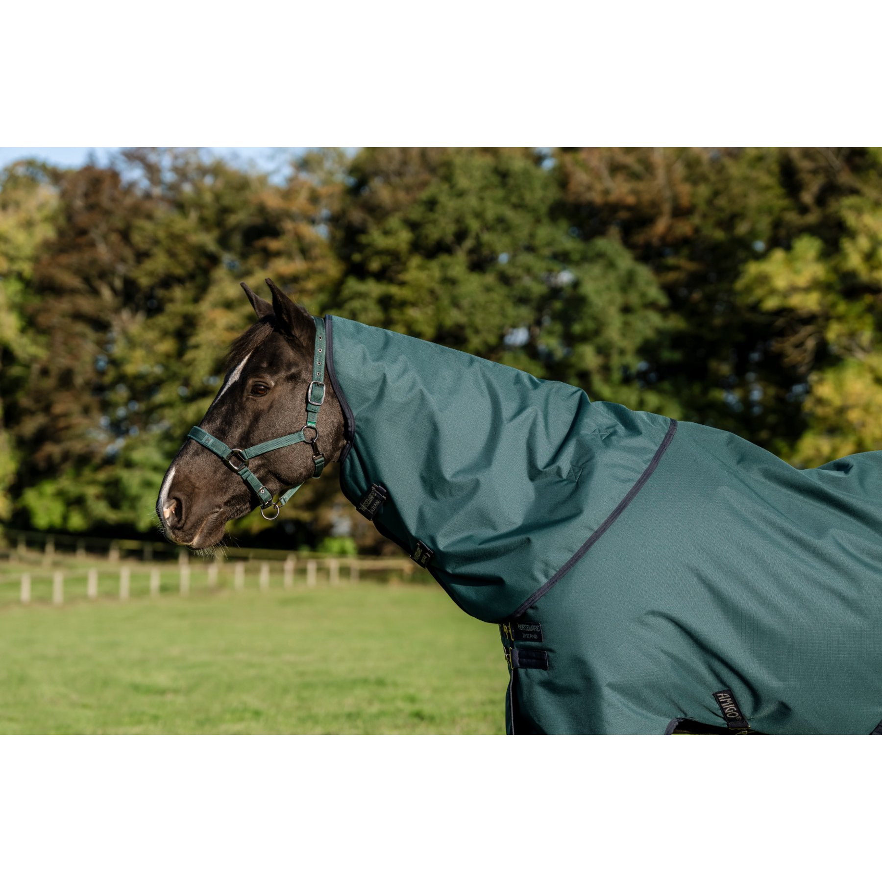 Horseware Amigo Ripstop 900D 0g Horse Turnout Hood, Dynasty Green, Small