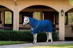 Amigo Ripstop Insulator Plus 200g Horse Stable Blanket, Navy, Titanium Grey, 81-in