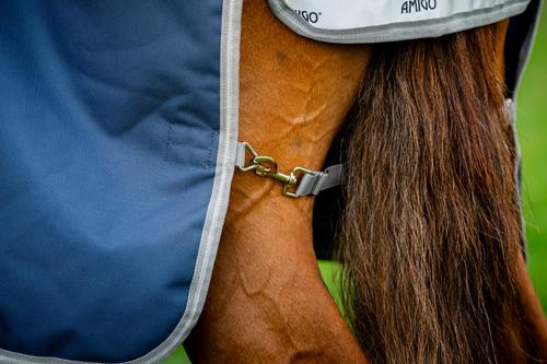 Show full view: Amigo 1200D Plus 0g Horse Turnout, Navy, Titanium Grey, Silver, 69-in slide 8 of 8