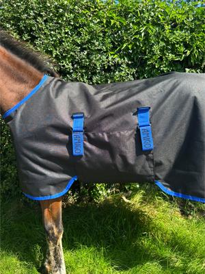 Show full view: Amigo Ripstop 900D 200g Foal Turnout, Black, Classic Blue, 48-in slide 5 of 5