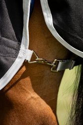 Amigo Ripstop 900D Plus 200g Quarter Horse Turnout, Black, Silver, 82-in slide 2 of 6