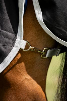 Show full view: Amigo Ripstop 900D Plus 0g Quarter Horse Turnout, Black, Silver, 68-in slide 6 of 6