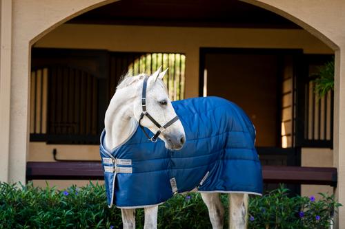 Show full view: Amigo Ripstop Insulator 100g Horse Stable Blanket, Navy, Titanium Grey, 75-in slide 2 of 7