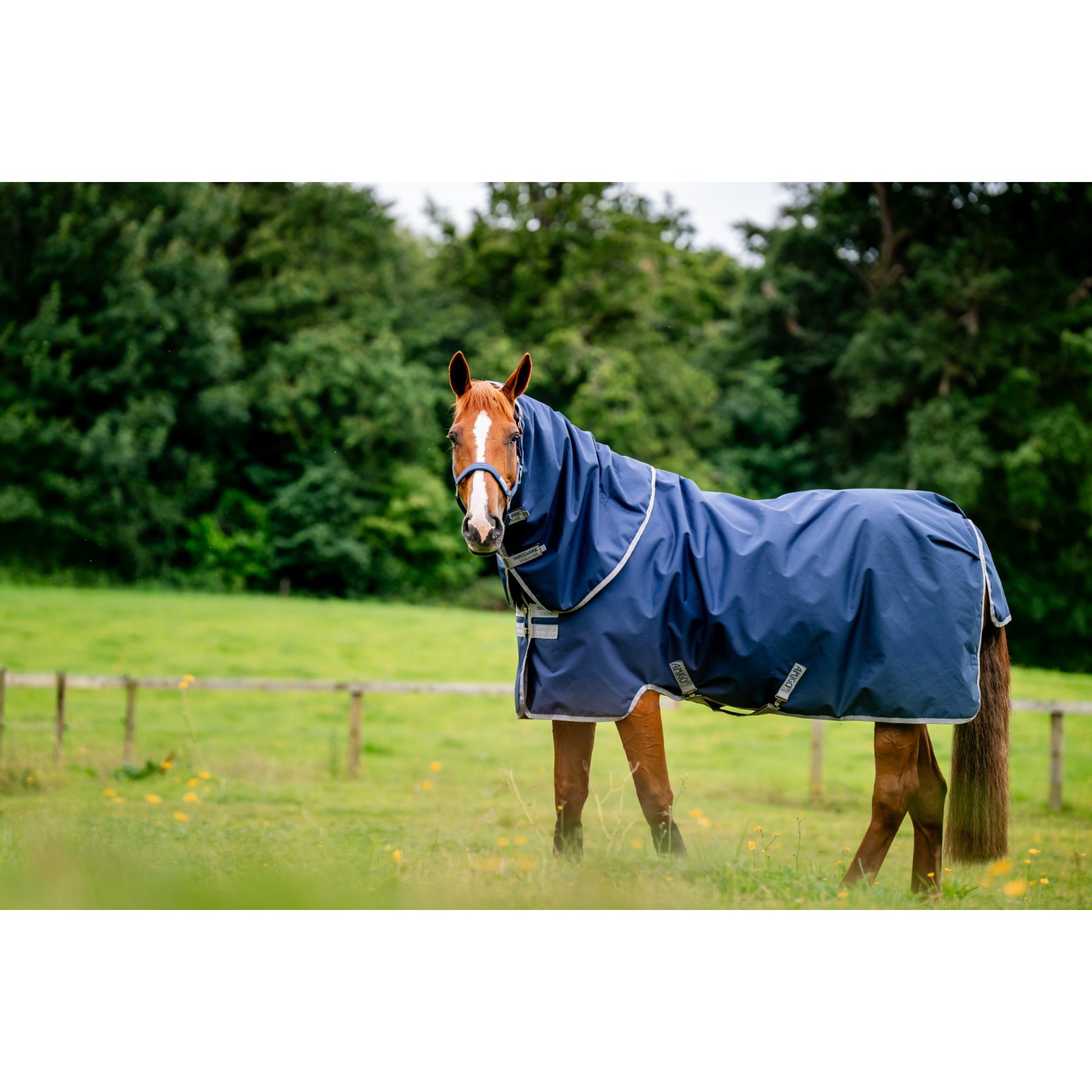 Horseware Amigo Ripstop 900D Plus 200g Horse Turnout, Navy, Titanium Grey, 75-in
