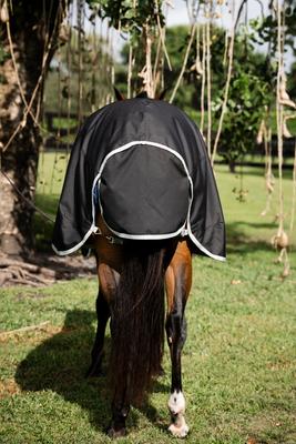 Show full view: Amigo Ripstop 900D Plus 0g Quarter Horse Turnout, Black, Silver, 68-in slide 4 of 6