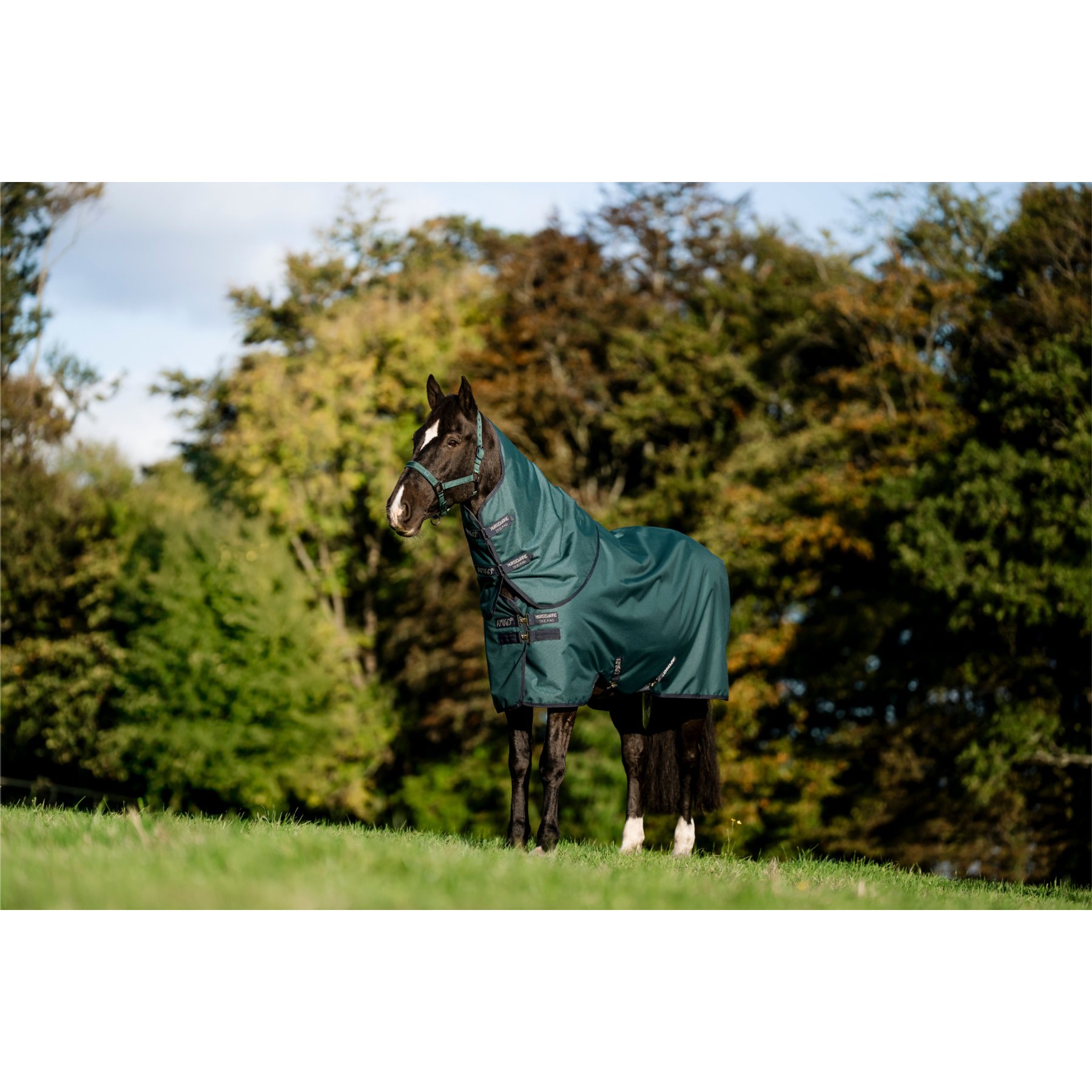 Horseware Amigo Ripstop 900D Plus 200g Pony Turnout, Dynasty Green, Navy, Silver, 69-in
