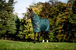 Amigo Ripstop 900D Plus 100g Horse Turnout, Dynasty Green, Navy, Silver, 66-in