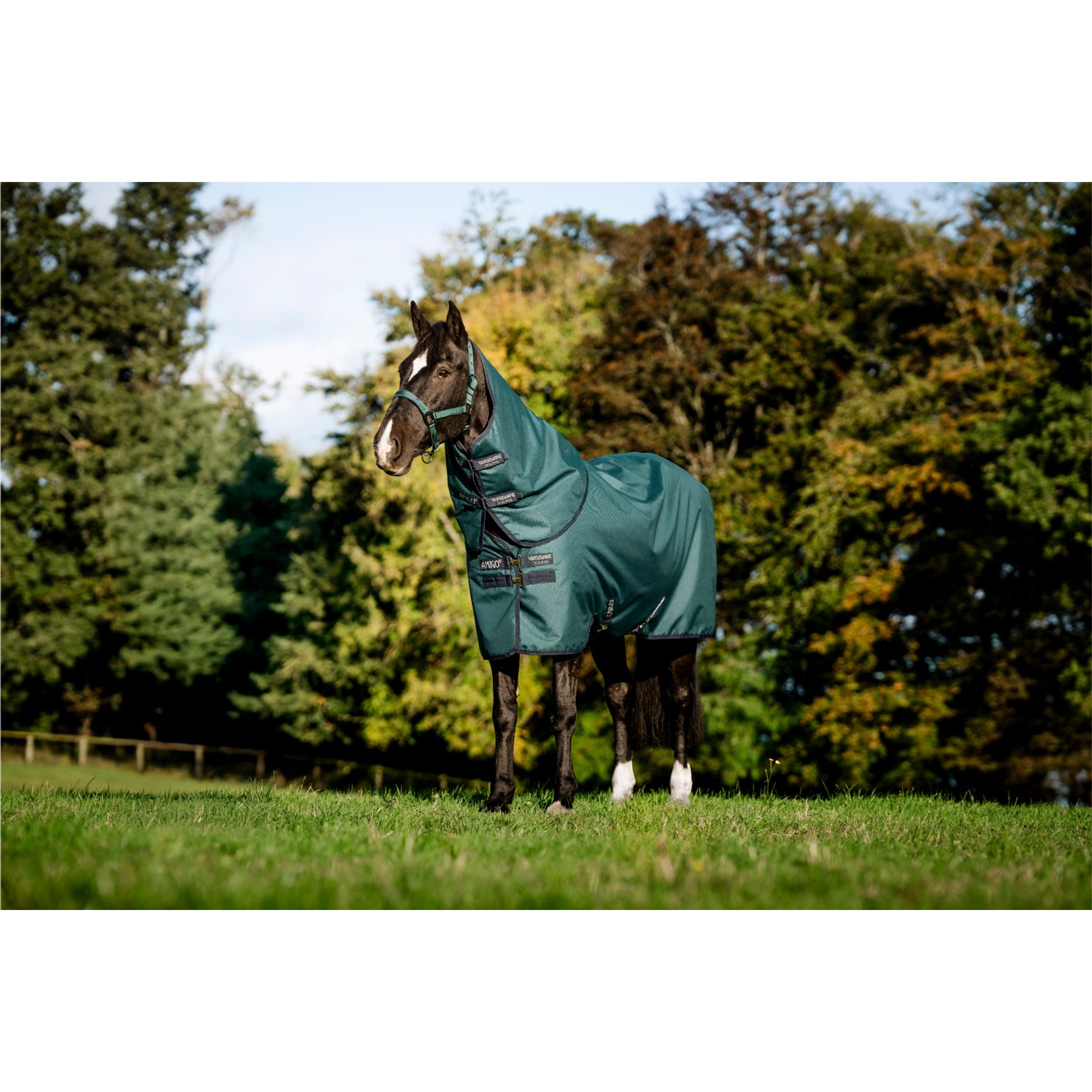 Horseware Amigo Ripstop 900D Plus 200g Horse Turnout, Dynasty Green, Navy, Silver, 72-in