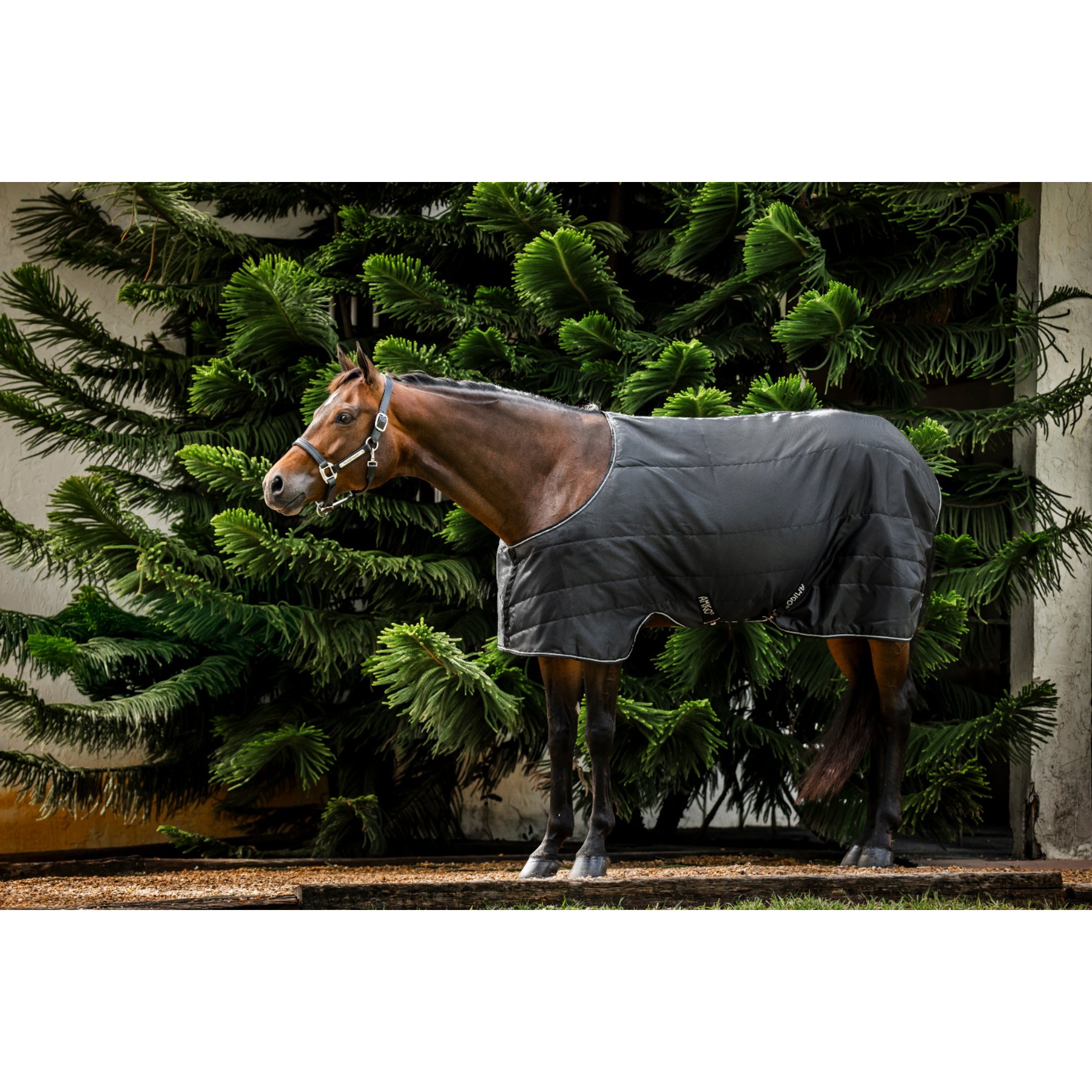 Horseware Amigo 100g Quarter Horse Stable Blanket, Black, Silver, 72-in