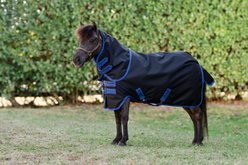 Amigo Ripstop 900D Plus 0g Petite Horse Turnout, Black, Classic Blue, 33-in