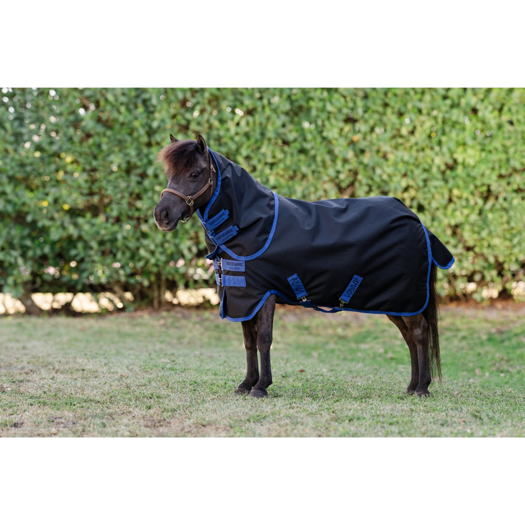 Horseware Amigo Ripstop 900D Plus 200g Petite Horse Turnout, Black, Classic Blue, 48-in