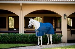 Amigo Ripstop Insulator 100g Horse Stable Blanket, Navy, Titanium Grey, 78-in