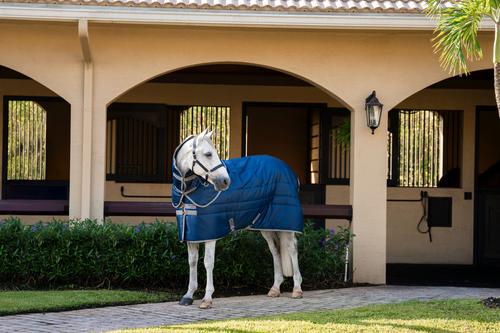 Show full view: Amigo Ripstop Insulator Plus 200g Horse Stable Blanket, Navy, Titanium Grey, 81-in slide 2 of 5